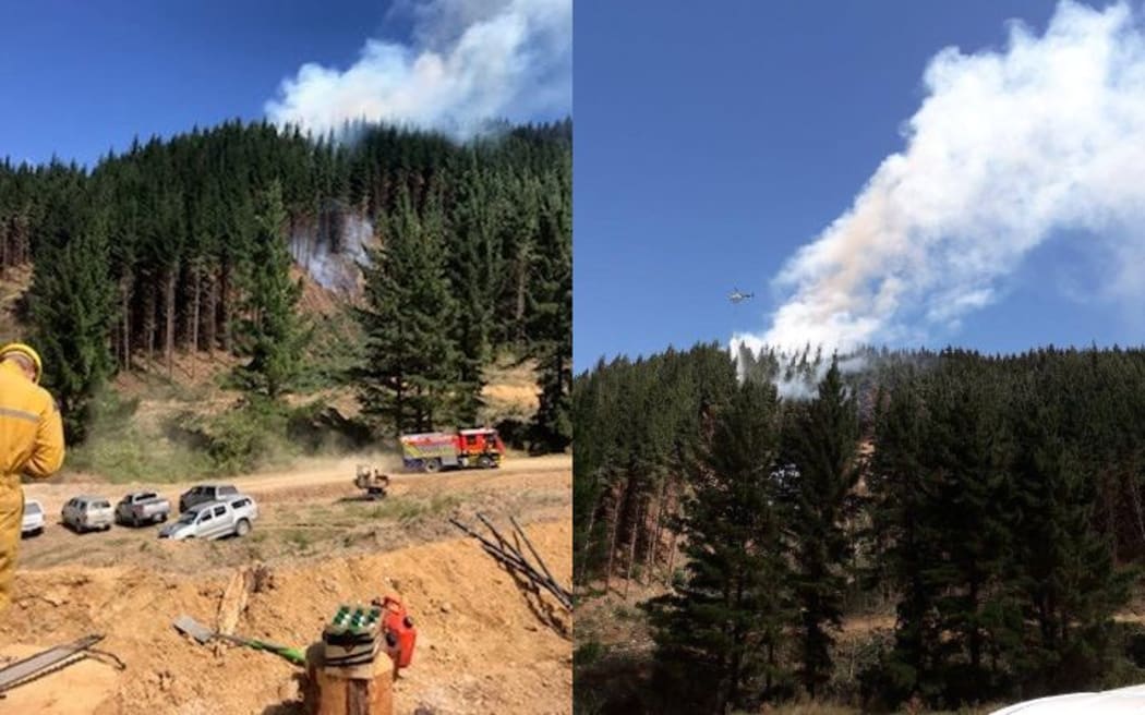 The scene of the fire in a forestry block near Picton Airport.