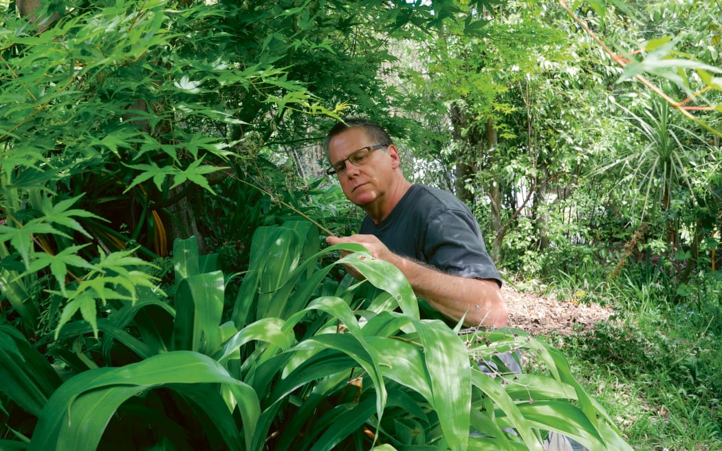 Insect expert and co-author of Incredible Insect Simon Pollard