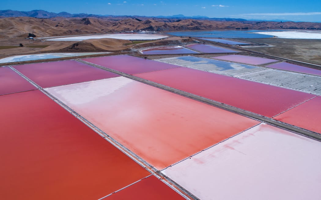 Dominion Salt's fields in Marlborough.