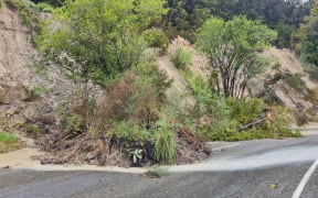 Slips bring down trees near Wairoa on 13 April 2022.