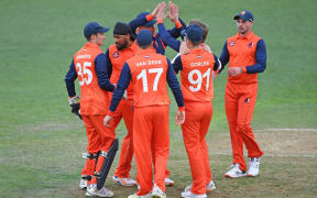 Netherlands players celebrate a wicket.
