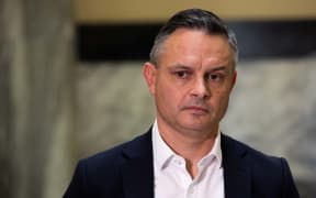 Green Party co-leader James Shaw