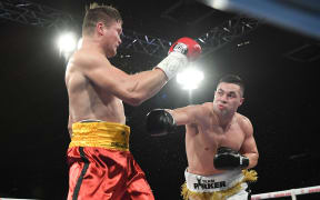 Joseph Parker and Alexander Dimitrenko