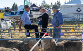 Wanaka A&P Show, March 2021