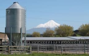 Taranaki Dairy farm