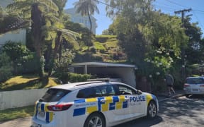 Police at the scene of a homicide inquiry in Khandallah. Helen Gregory was found dead at her home on Wednesday 24 January. Gregory's home is on a small hill, looking down onto the rest of Baroda Street.
