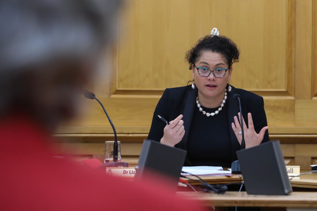 Labour MP Louisa Wall as Chair of Social Services Select Committee