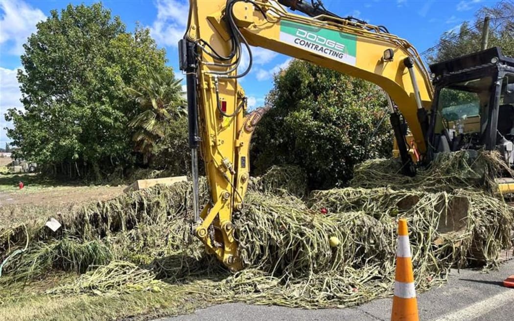 Digger swamped with debris from cyclone on Pakōwhai road, Hastings