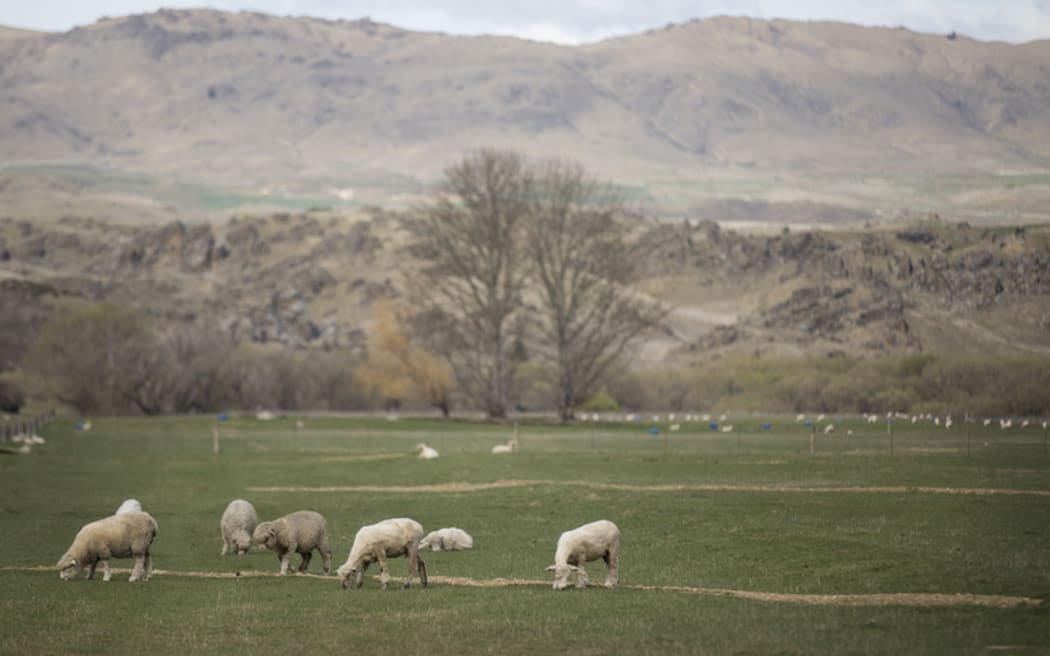 FOR WATER TAX story first - Generic Central Otago