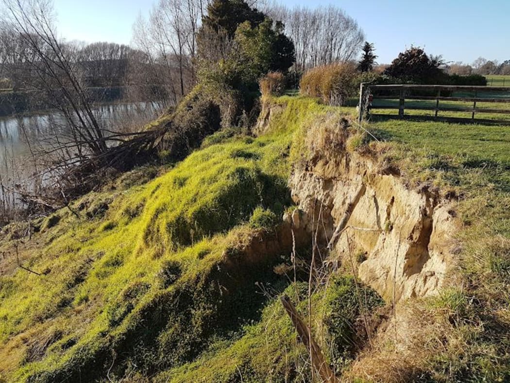 The bank of the Wairoa River near the end of Huramua Road East, where a local urupa is threatened by erosion.