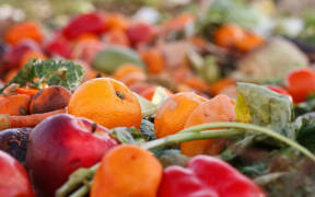 4629023 - assorted mildewing fruits and vegetables in a compost heap.