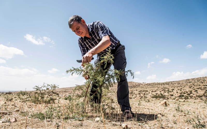 Scientist wins peace prize for farmer-managed natural regeneration work ...