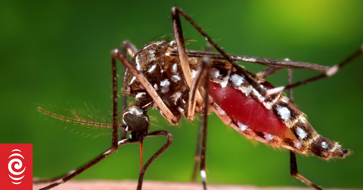 Warning to travellers as dengue fever cases rise in Pacific again