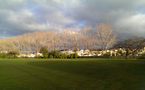 The side of Dunedin's University Oval where new grass banks will go to increase capacity.