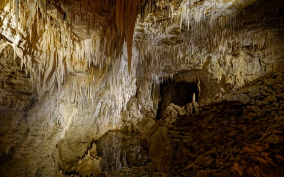 Waitomo Caves, North Island of New Zealand.
