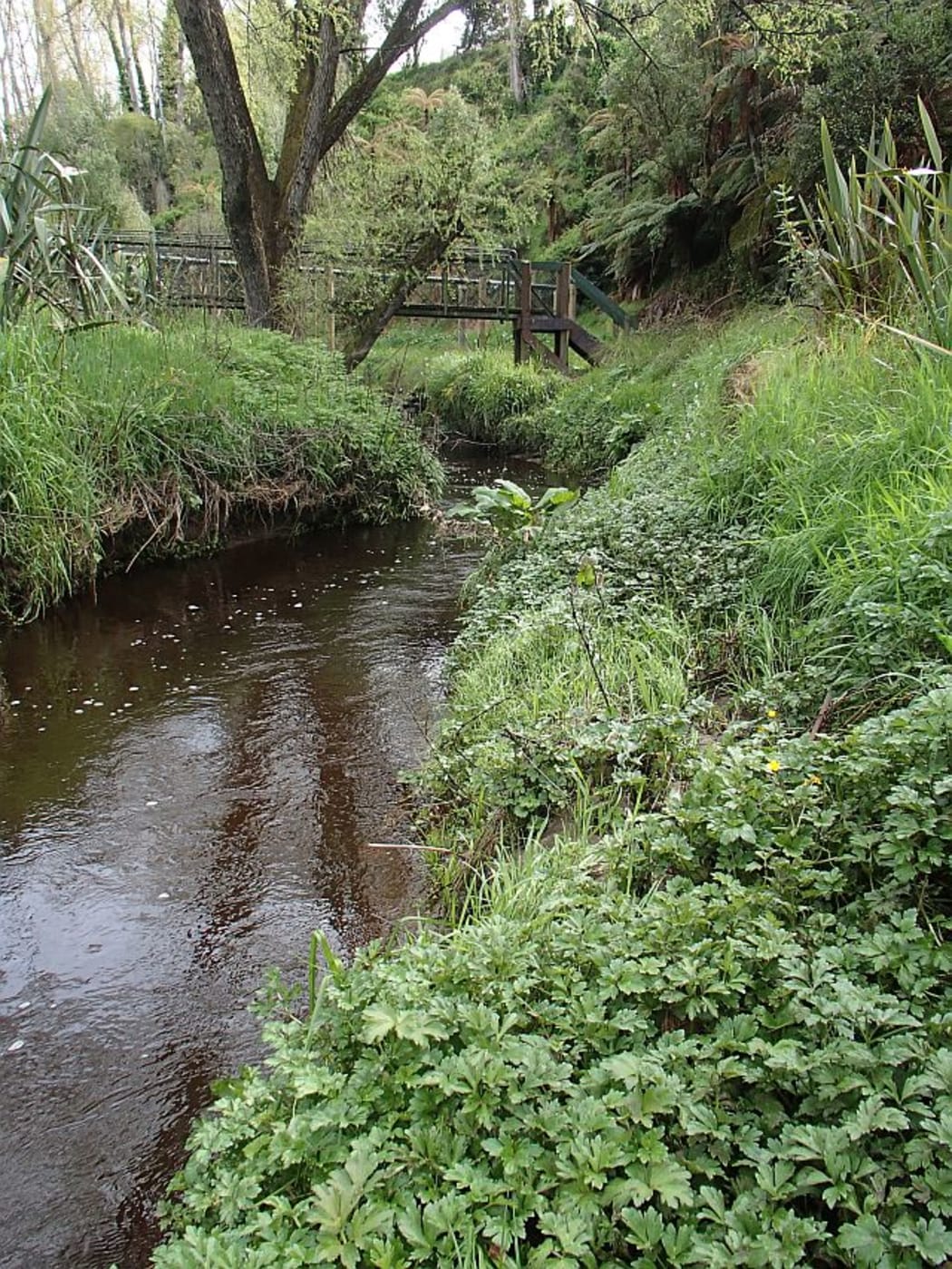 View along the stream to a small bridge.