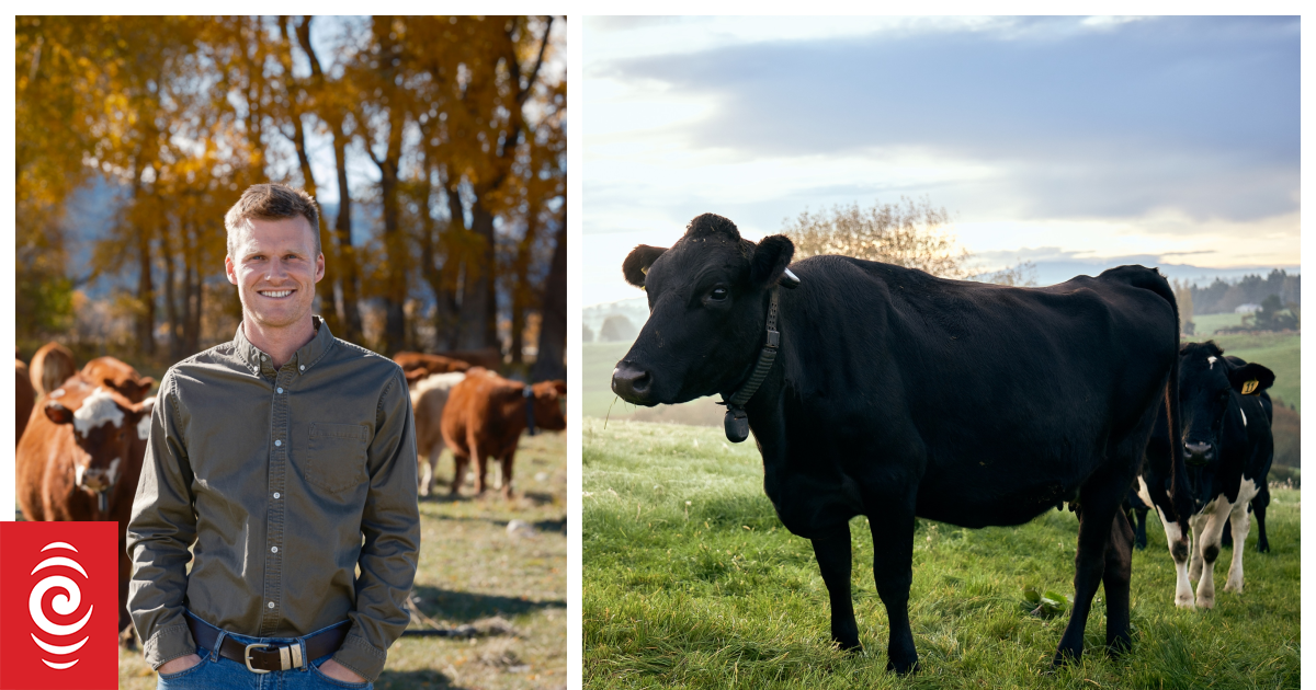NZ agri tech company Halter on a great year | RNZ