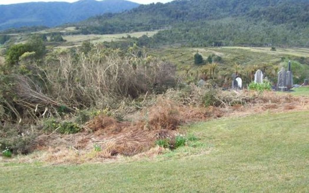 Cleared gorse at the cemetery
