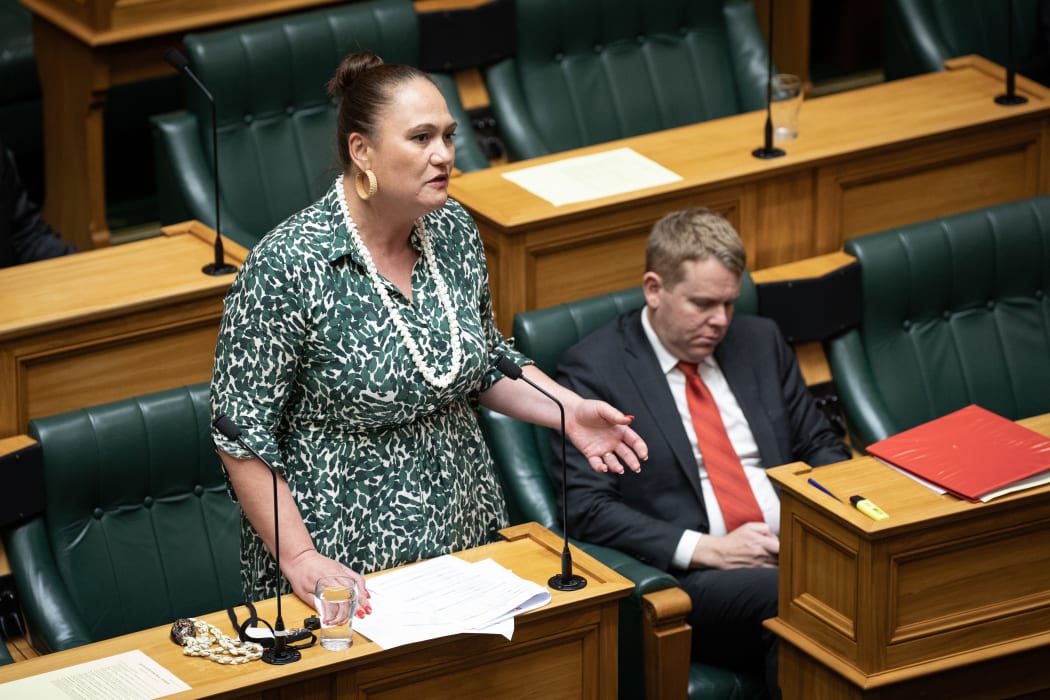 Carmel Sepuloni talks about the dawn raids