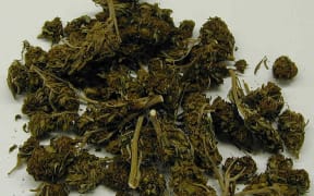 The findings of one study suggest that about 80 percent of young people will have used cannabis on at least one occasion by the time they turn 21.