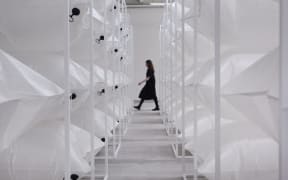 on an east wind - art installation