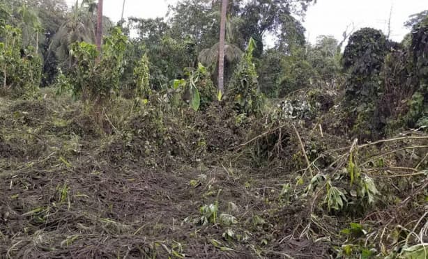 With food running out, Ambae residents still wait for evacuation | RNZ