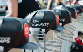 Fan hats during the First Cricket ODI, Black Caps V Sri Lanka.