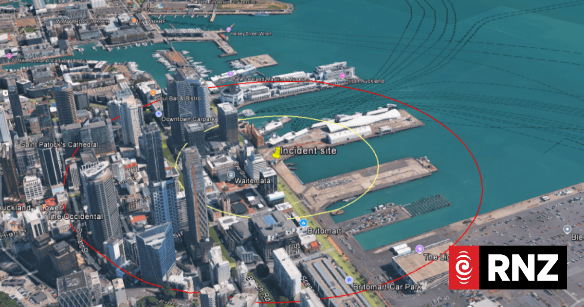 Larvae from exotic mosquito which could carry deadly diseases found in Auckland CBD