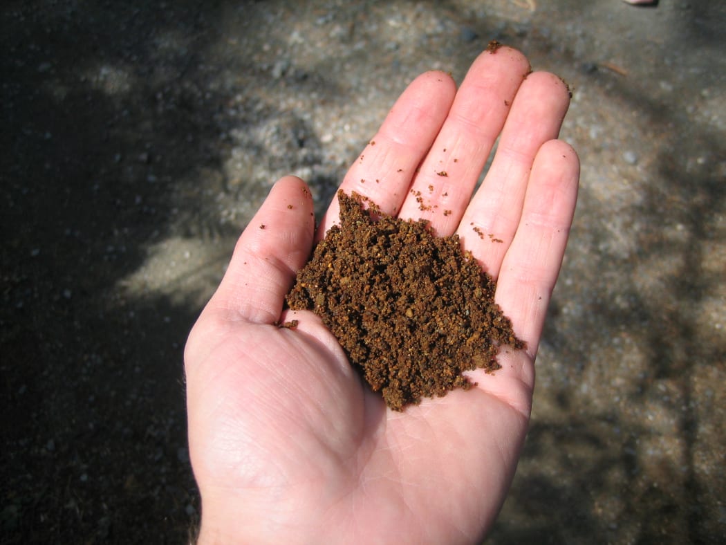 The reddish color of the sandy soil indicates that it is iron rich. This means the soil has good Phosphorus retention capabilities.