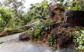 Damage on Paturoa Road, Titirangi.