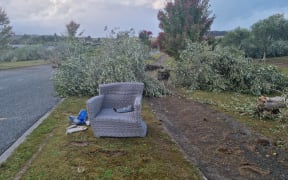 Trees have fallen over in Petra Way, Tasman after a tornado that tore through the upper South Island on 10 April, 2023.