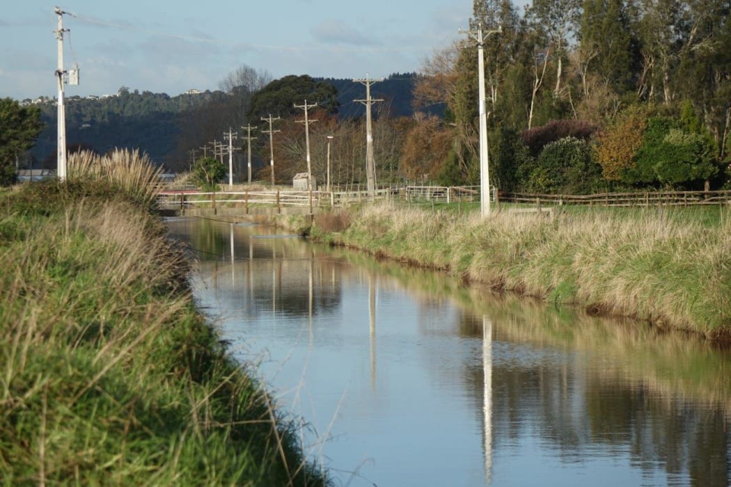 The Kopeopeo Canal near Whakatane, a long straight body of water lined with long grass and power poles. It contains forty thousand cubic metres of dioxin-laden mud