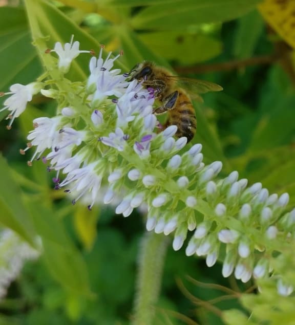 4o8xtt2 gallery image 41372