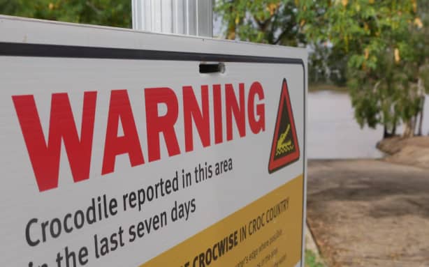 Crocodile-inhabited river approved to host Olympic events | RNZ