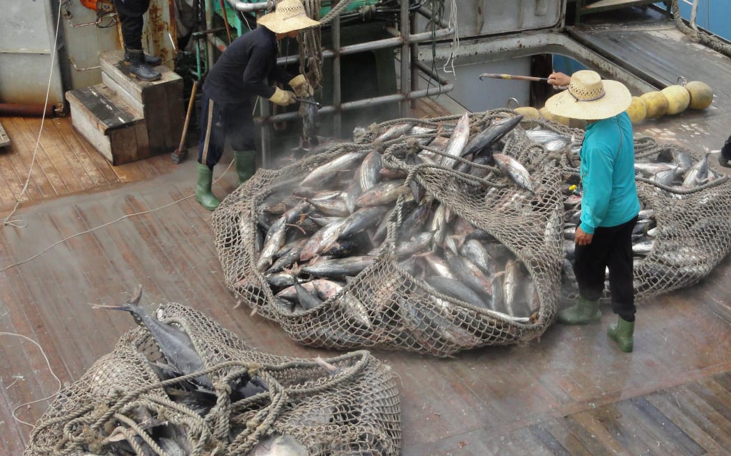 A net filled with skipjack tuna coming out of the hold of a purse seine fishing vessel anchored in the Marshall Islands as it off-loads the fish to a mothership for transfer to Asian canneries.