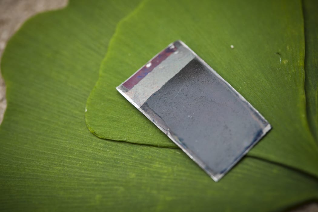 The bionic leaf is a system for converting solar energy into liquid fuel developed by the labs of Daniel Nocera at Harvard University.