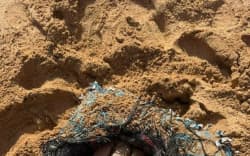 A package with barnacles growing on it, believed to hold about 40 kilograms worth of cocaine, has washed up on a Norfolk Island beach