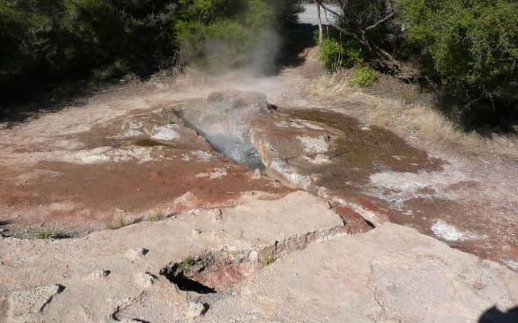 New Zealand geothermal activity