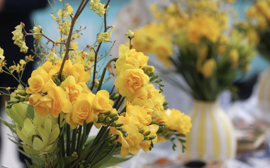 Yellow roses mark the announcement of the official opening date of Ikea in Auckland.
