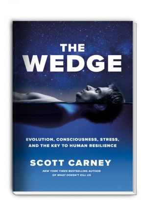 The Wedge: Evolution, Consciousness, Stress, and the Key to Human Resilience