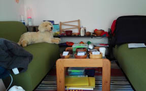 sensory room dog