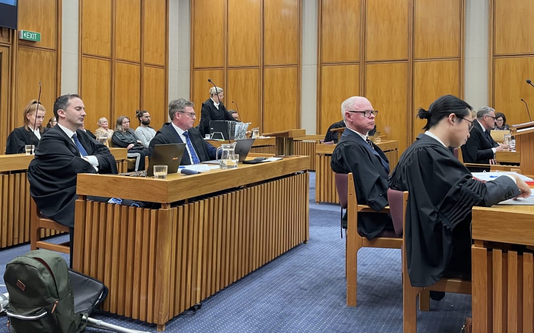 The case is heard at the Court of Appeal in Wellington. Gail Maney can be seen in a camel-coloured coat at the back of the room, her lawyer Julie-Anne Kincade standing to address the judges in front of her