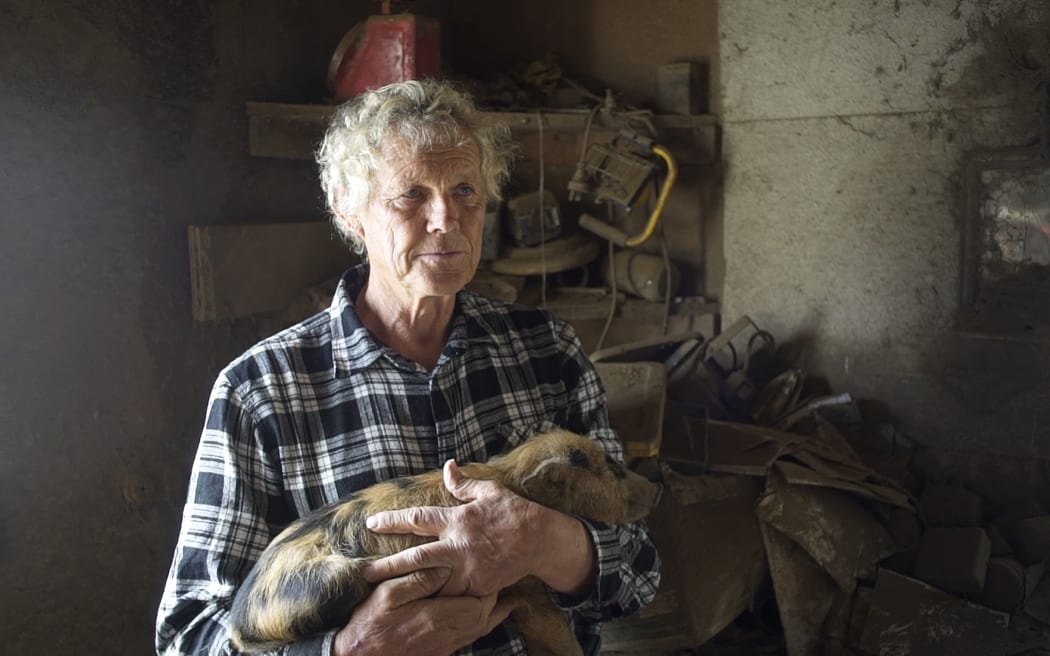 Stu Edmonson has looked after about 100 pigs on his rural Coromandel property since 2005