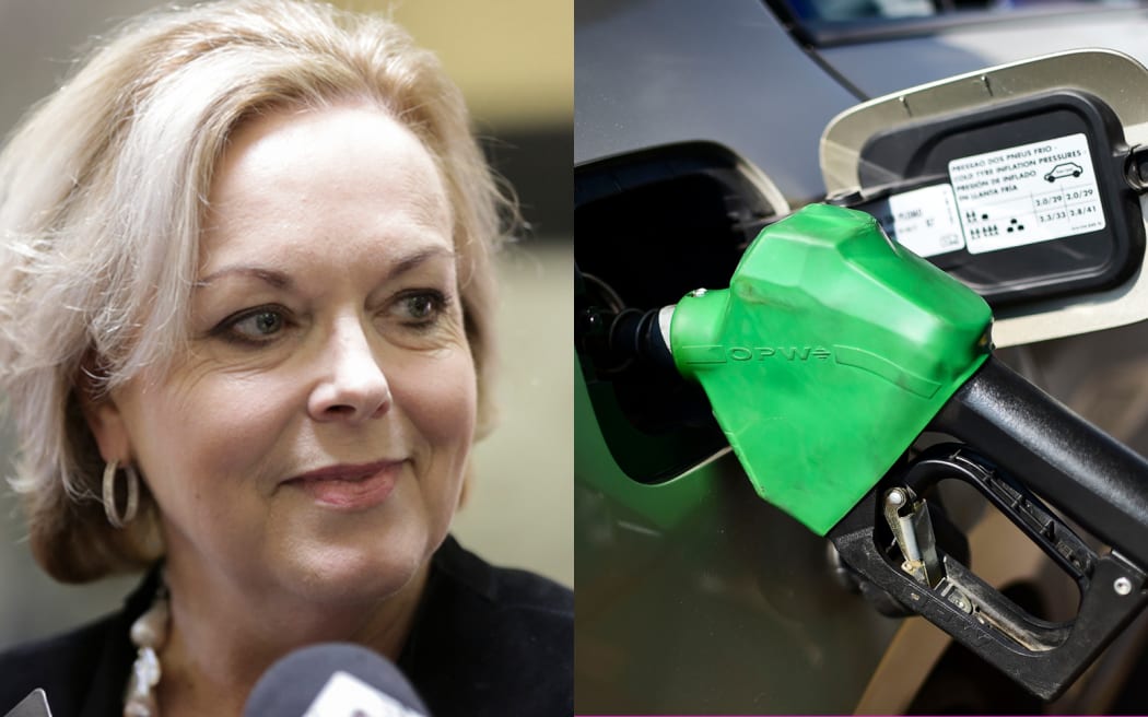 Judith Collins, Petrol