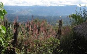 Eastern Highlands, Papua New Guinea.