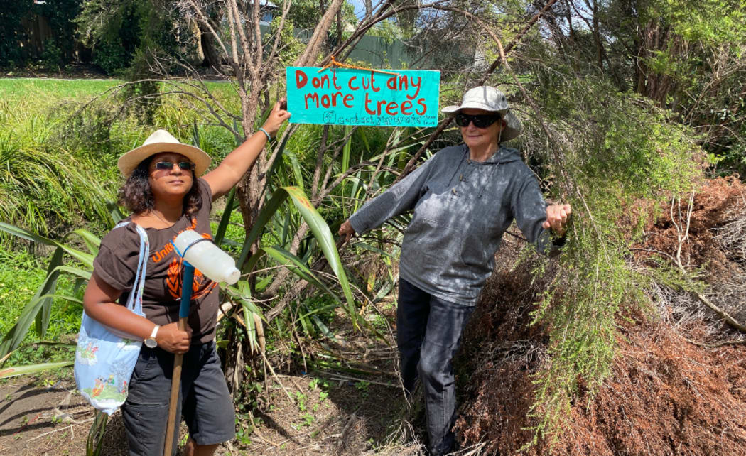 Tararata Stream team’s Pragna Patel and Julia Tu’ineau next to the felled trees