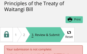 Treaty Principles Bill submissions error