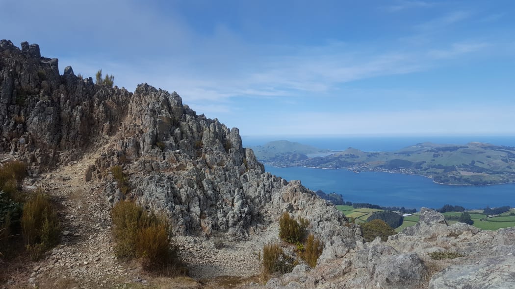 Otago Peninsula