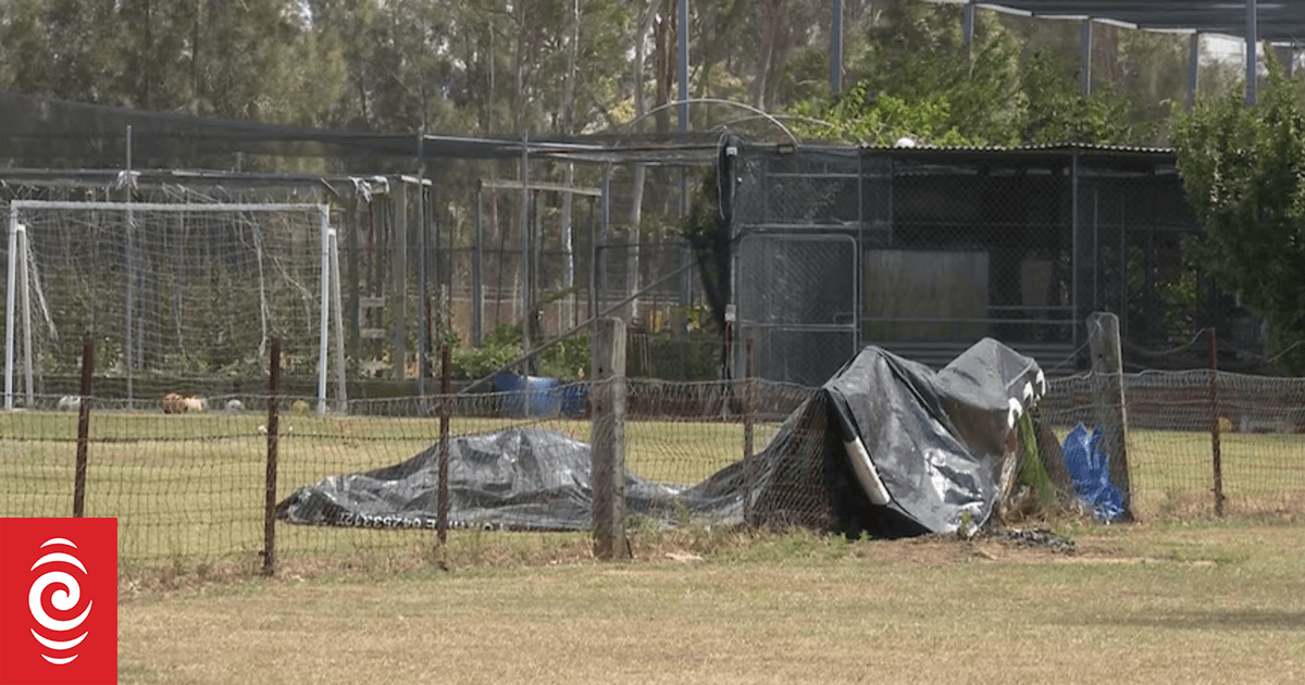 Five boys injured after jumping castle flies into air in West Sydney