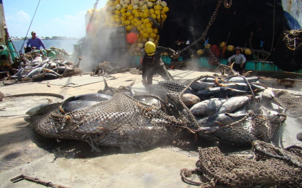 Tuna on the deck of a Pacific fishing vessel.